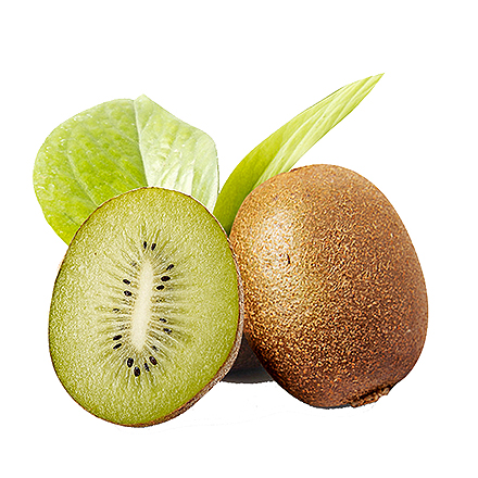 九游官网首页产品中心六