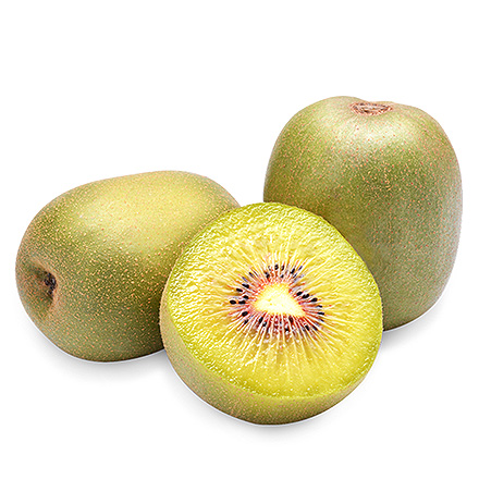 九游官网首页产品中心九